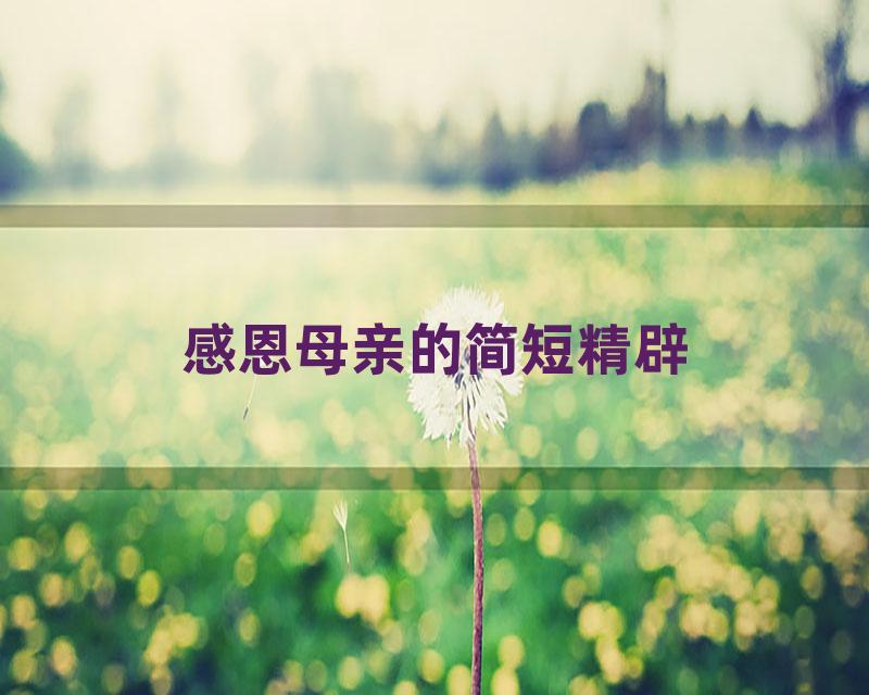感恩母亲的简短精辟