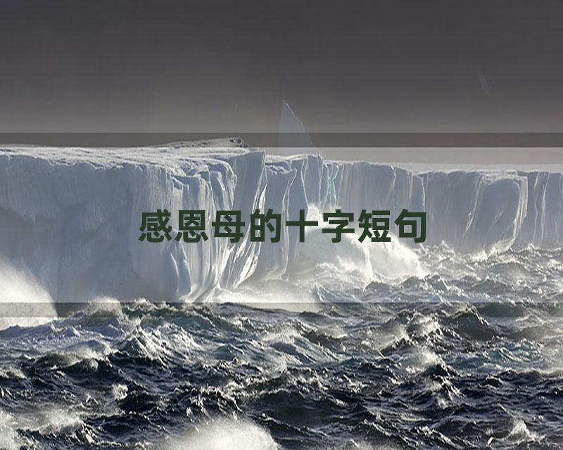 感恩母的十字短句