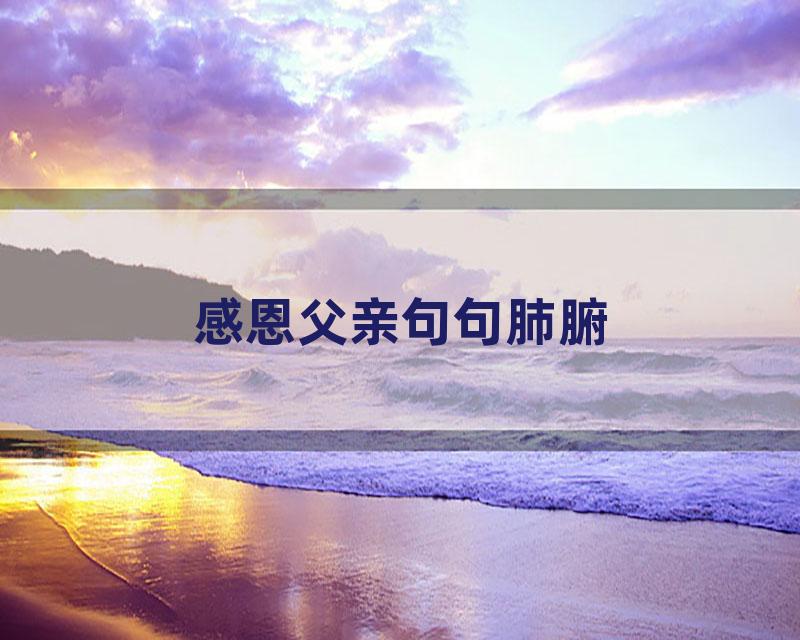 感恩父亲句句肺腑