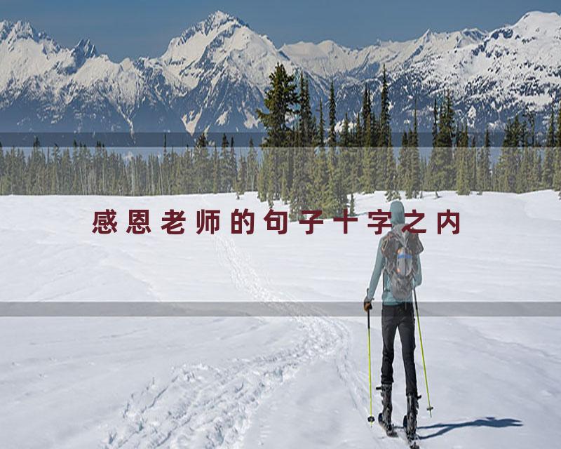 感恩老师的句子十字之内