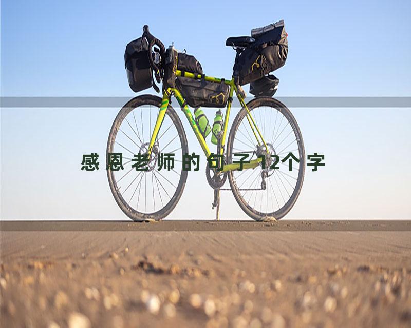 感恩老师的句子12个字