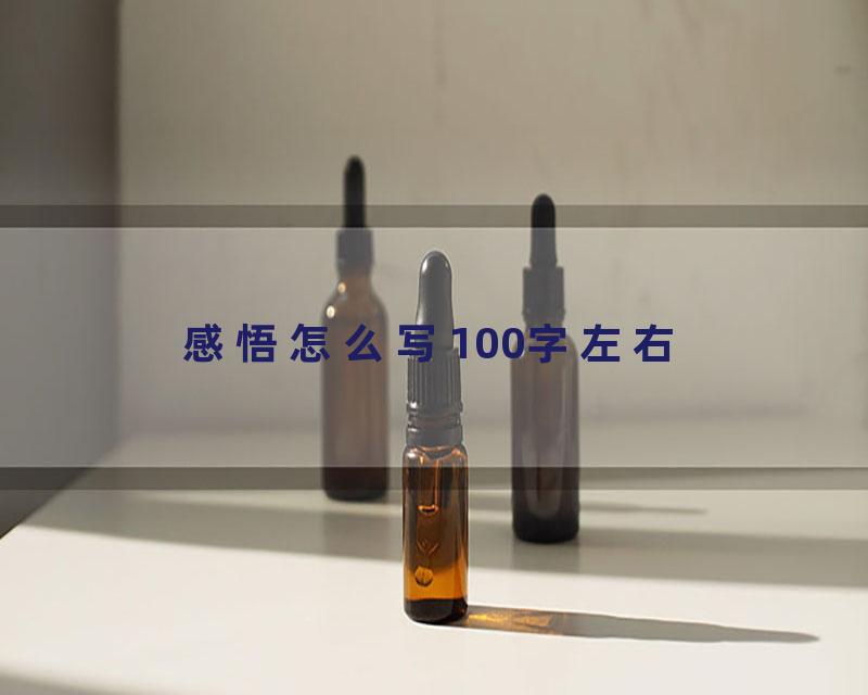 感悟怎么写100字左右