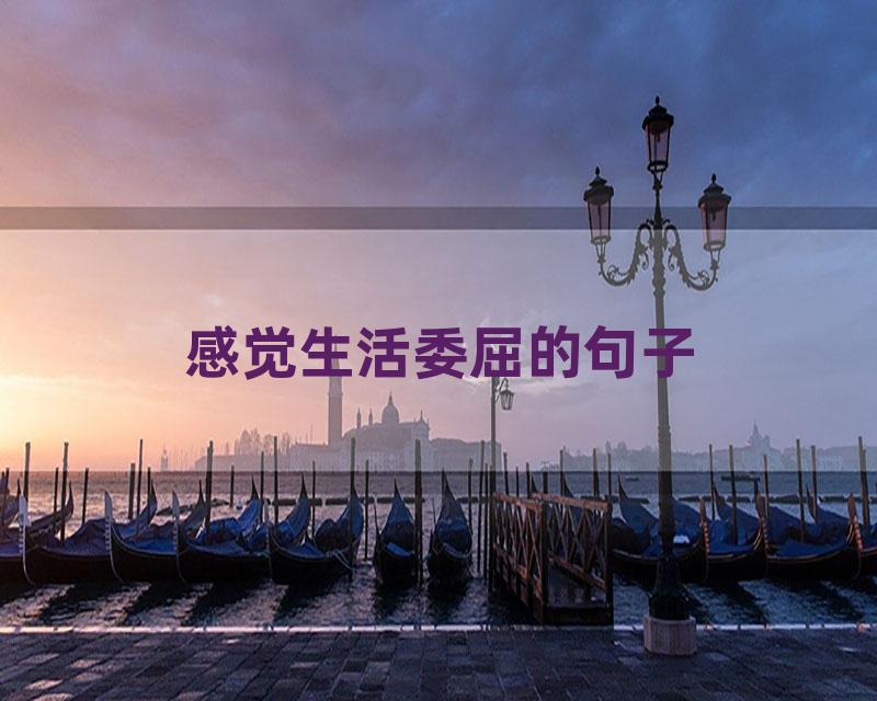 感觉生活委屈的句子