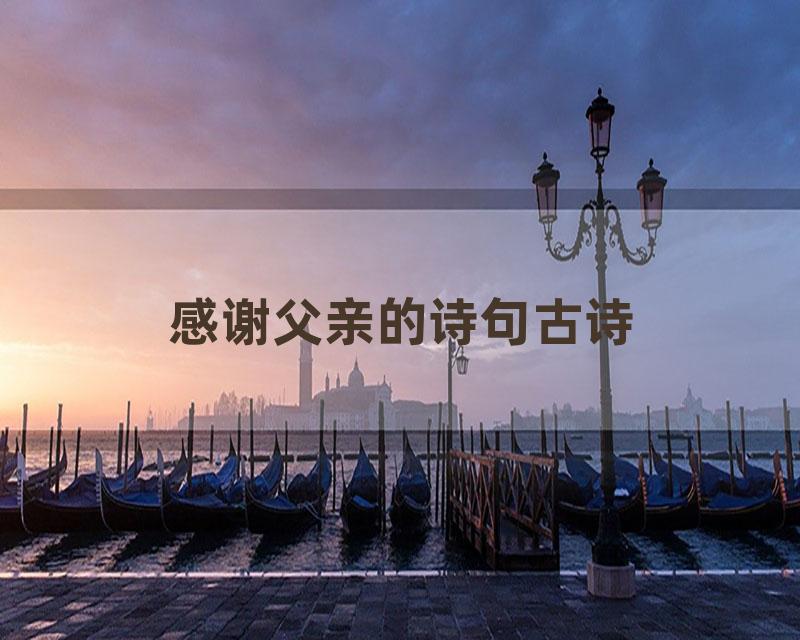 感谢父亲的诗句古诗