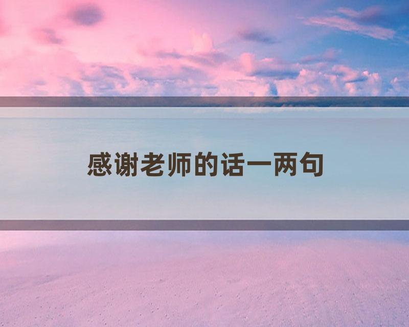 感谢老师的话一两句
