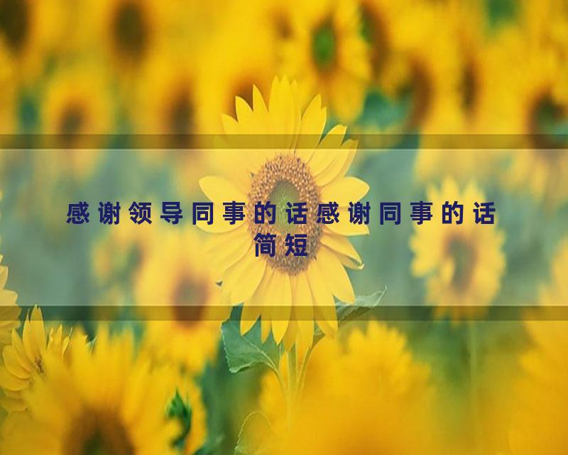 感谢领导同事的话感谢同事的话简短