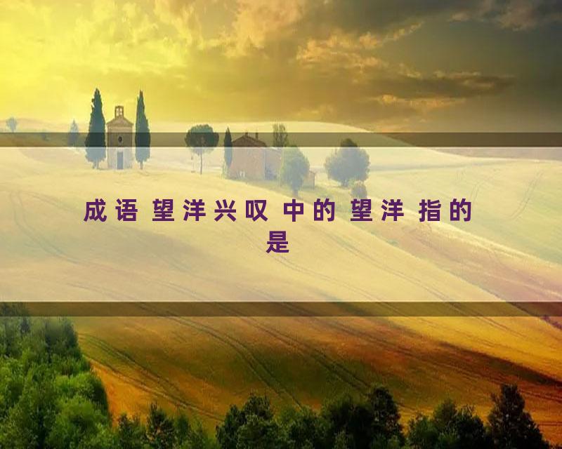 成语 望洋兴叹 中的 望洋 指的是