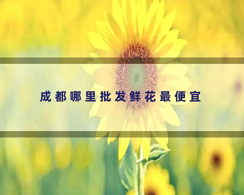 成都哪里批发鲜花最便宜
