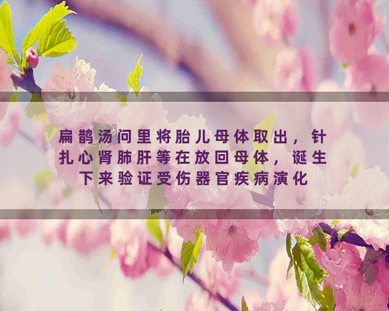 扁鹊汤问里将胎儿母体取出，针扎心肾肺肝等在放回母体，诞生下来验证受伤器官疾病演化