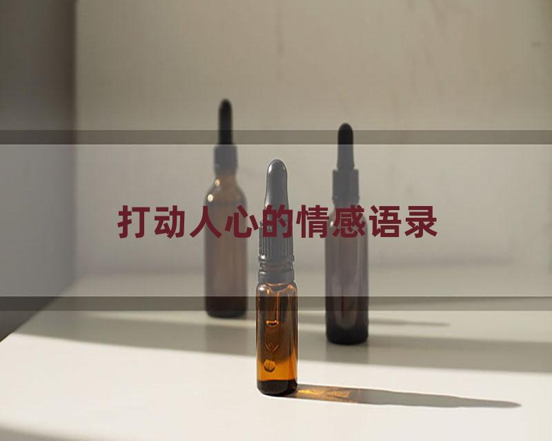 打动人心的情感语录