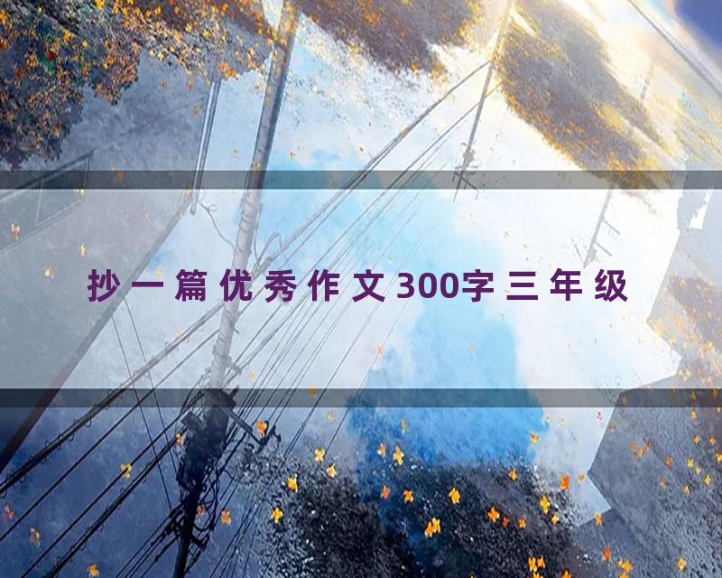 抄一篇优秀作文300字三年级