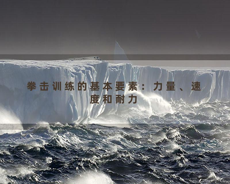 拳击训练的基本要素：力量、速度和耐力