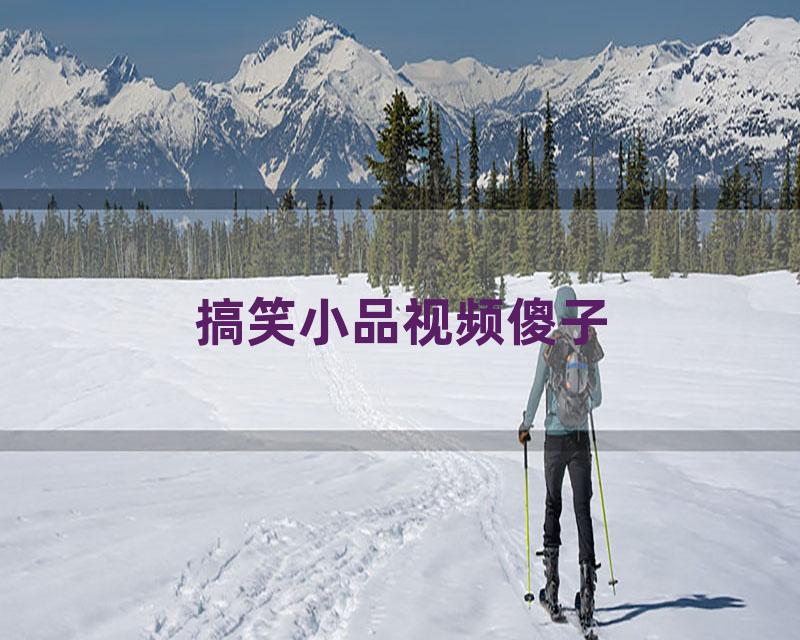 搞笑小品视频傻子