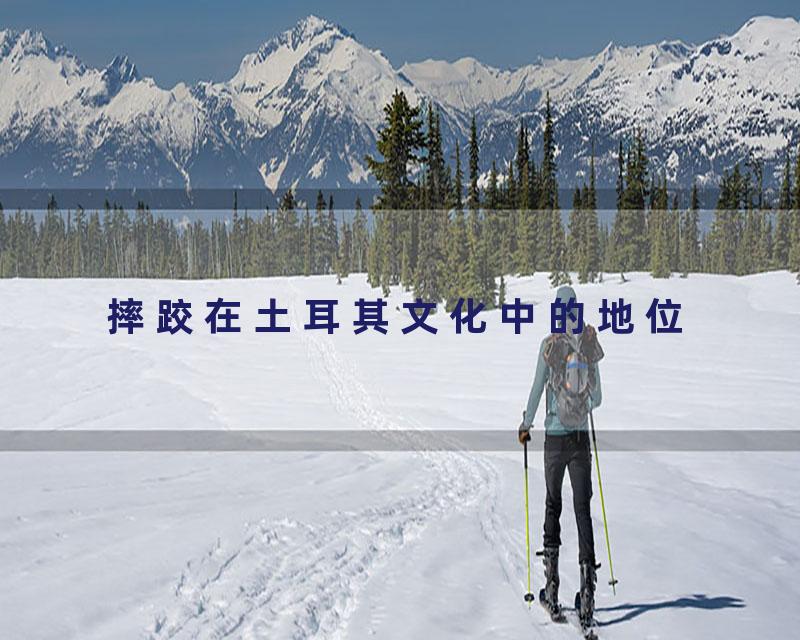 摔跤在土耳其文化中的地位