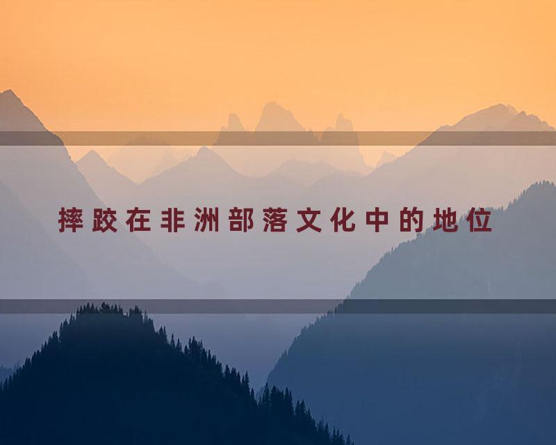 摔跤在非洲部落文化中的地位