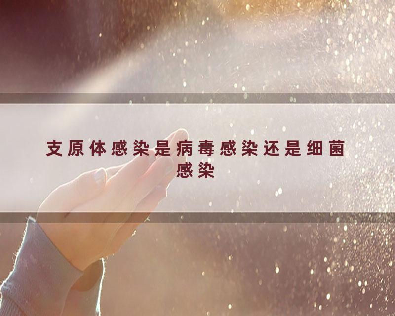 支原体感染是病毒感染还是细菌感染