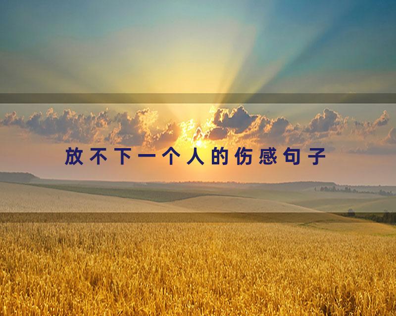 放不下一个人的伤感句子