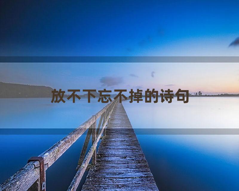 放不下忘不掉的诗句