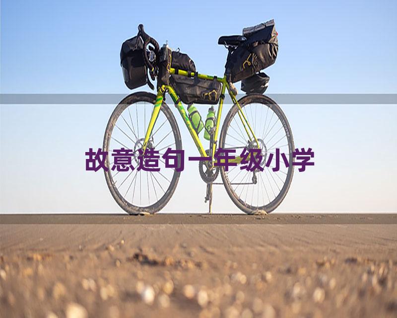 故意造句一年级小学