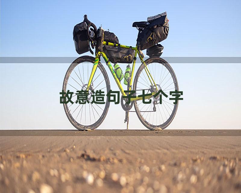 故意造句子七个字