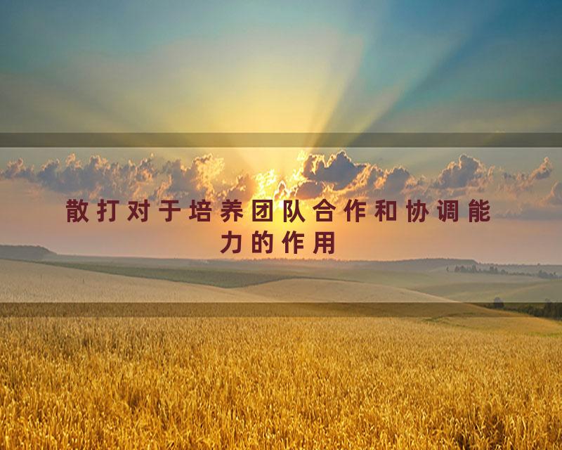 散打对于培养团队合作和协调能力的作用