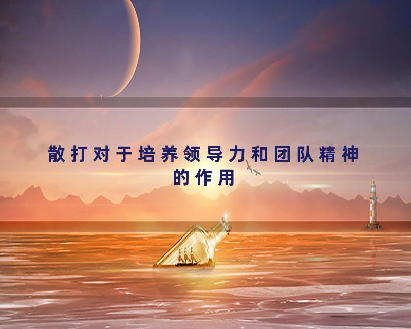 散打对于培养领导力和团队精神的作用