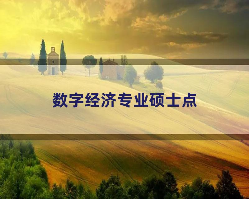 数字经济专业硕士点
