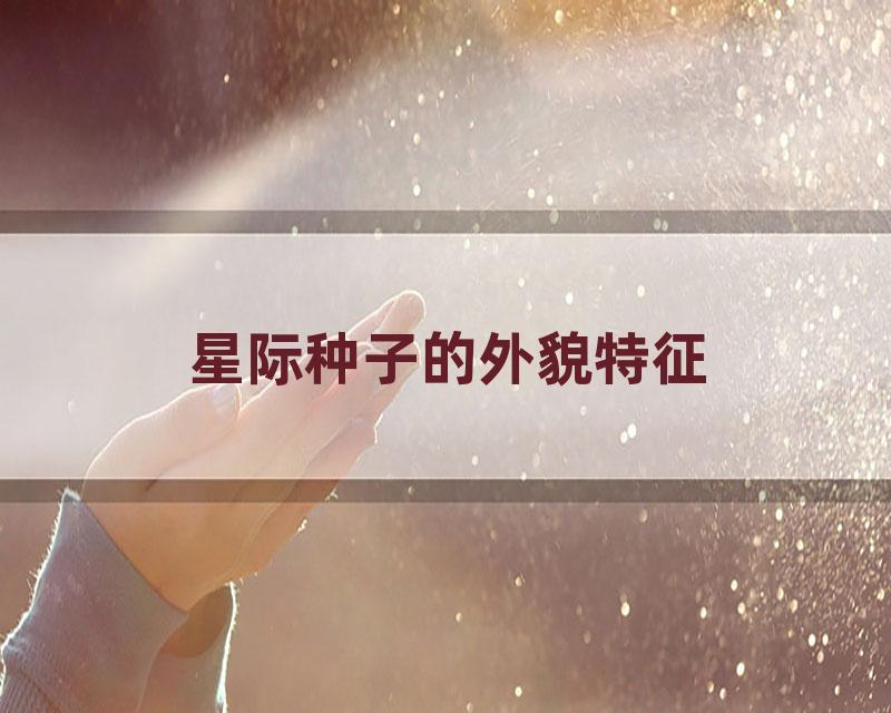 星际种子的外貌特征