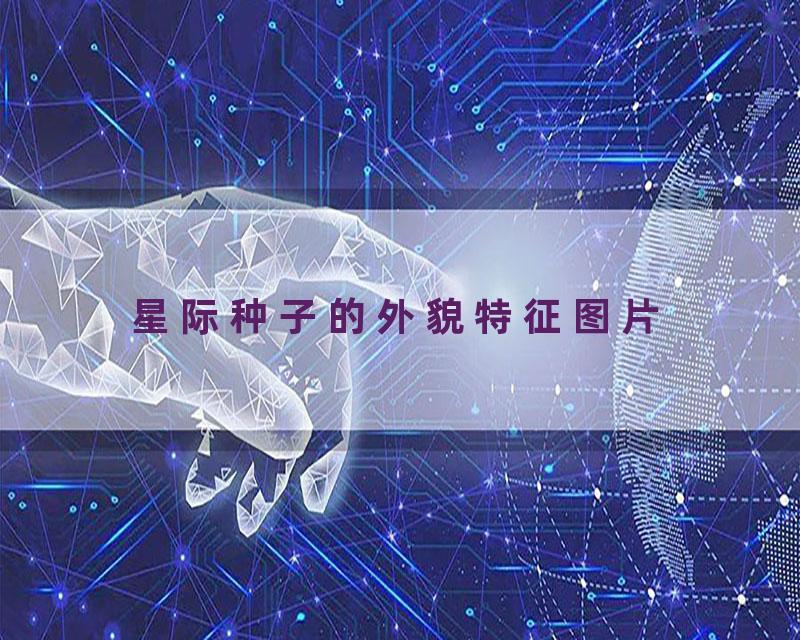 星际种子的外貌特征图片