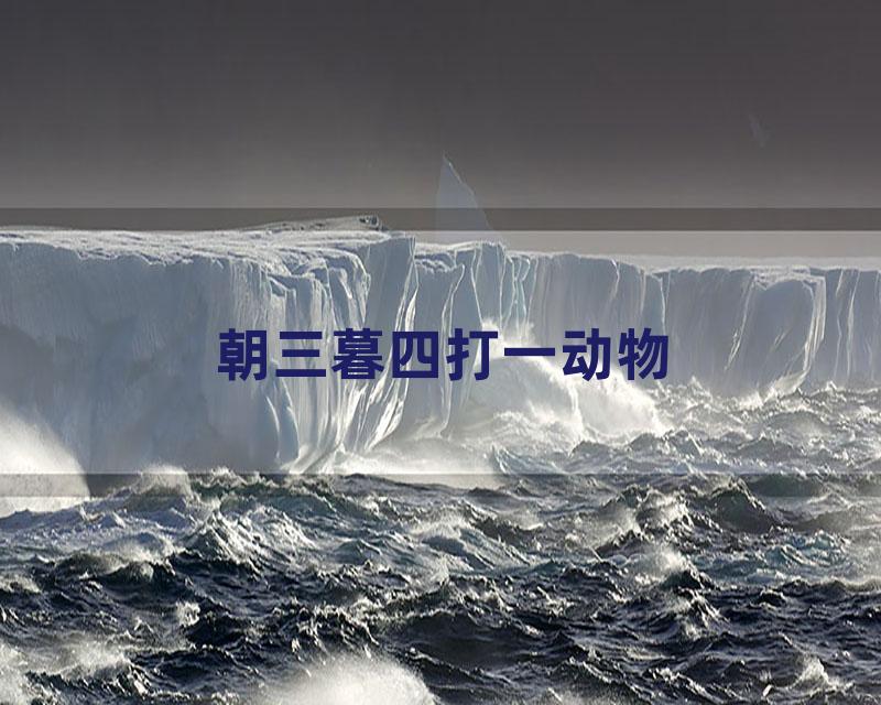 朝三暮四打一动物