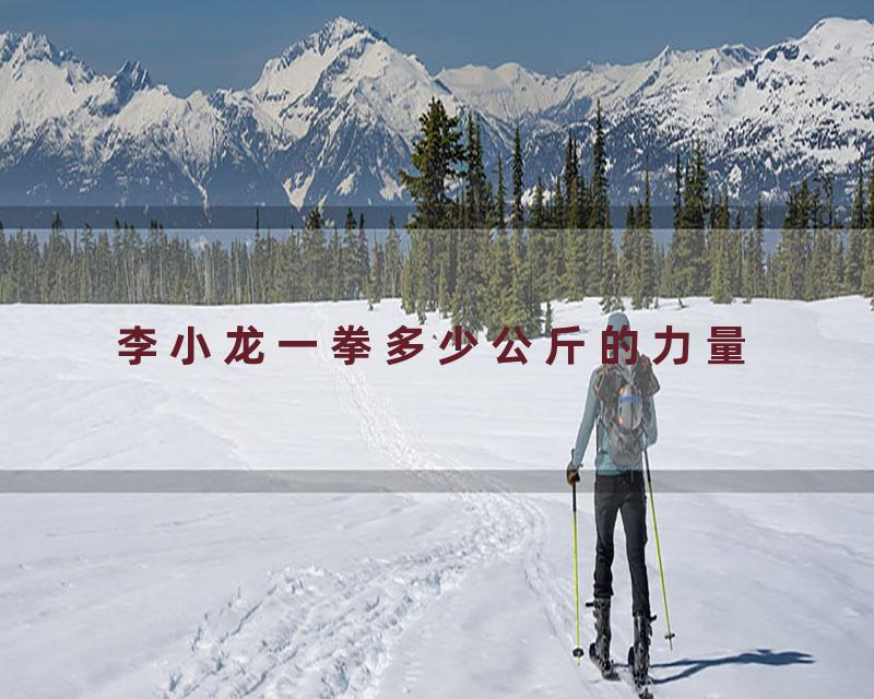 李小龙一拳多少公斤的力量