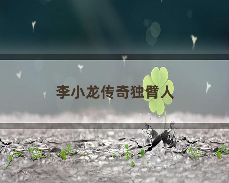 李小龙传奇独臂人