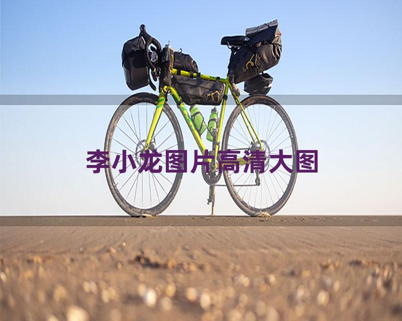 李小龙图片高清大图