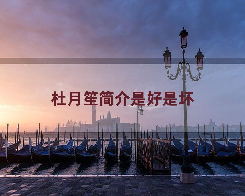 杜月笙简介是好是坏