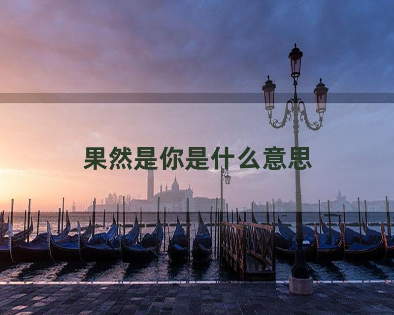 果然是你是什么意思