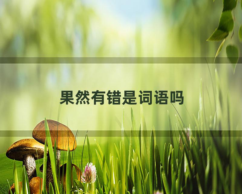 果然有错是词语吗