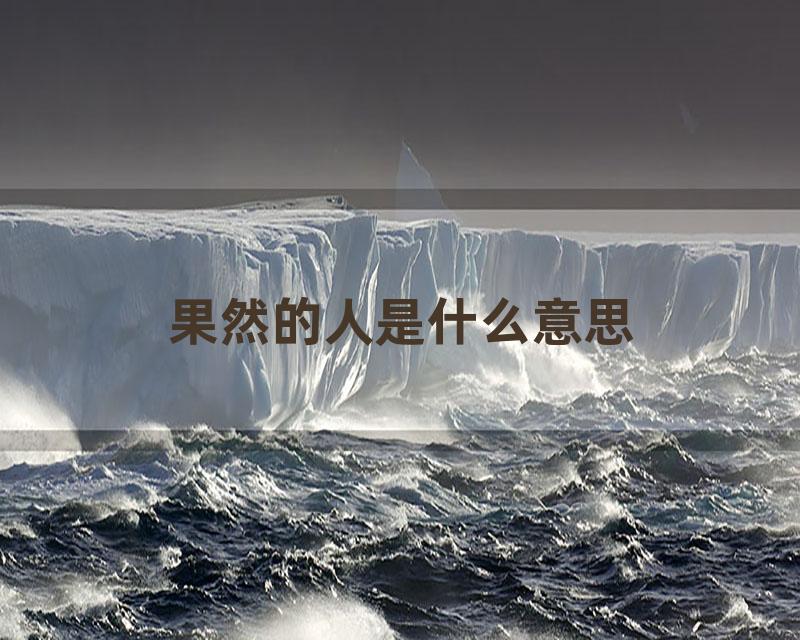 果然的人是什么意思