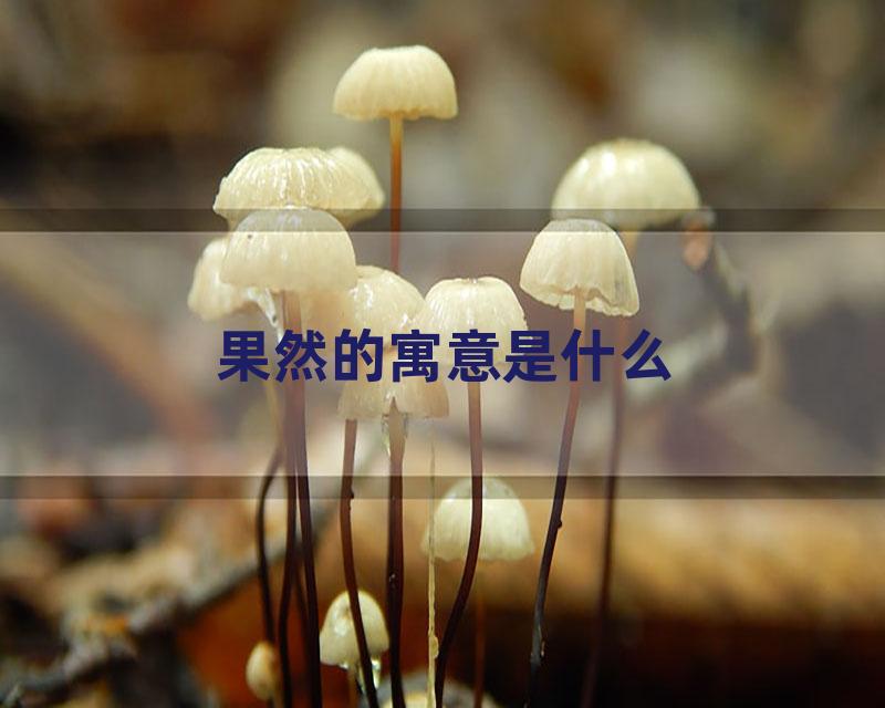 果然的寓意是什么