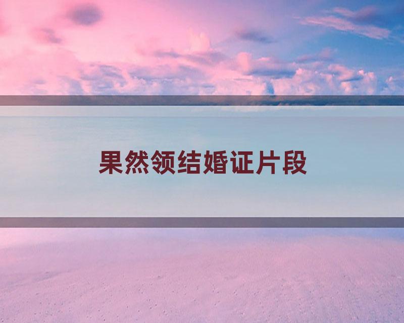 果然领结婚证片段