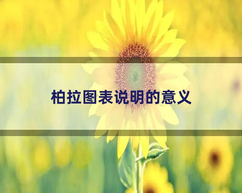 柏拉图表说明的意义
