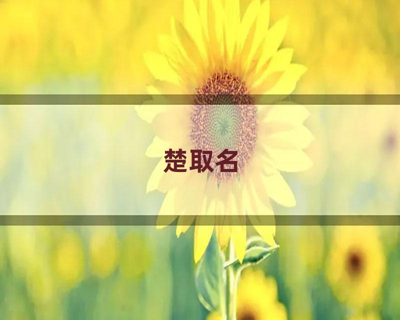楚取名