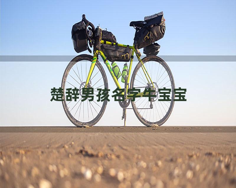 楚辞男孩名字牛宝宝