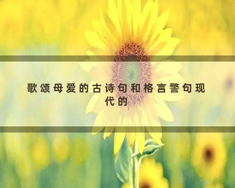 歌颂母爱的古诗句和格言警句现代的