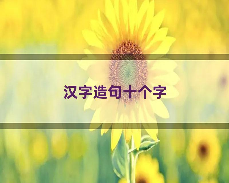 汉字造句十个字