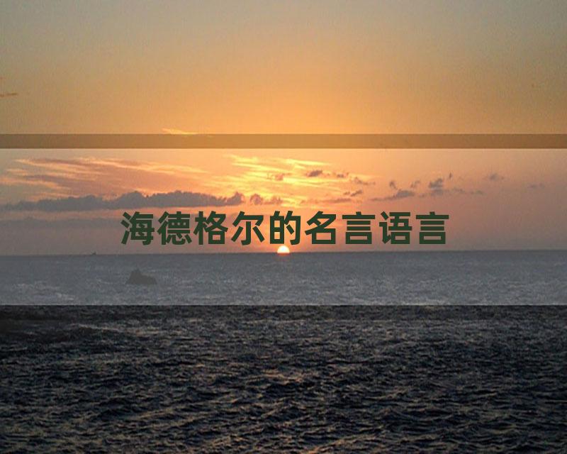 海德格尔的名言语言