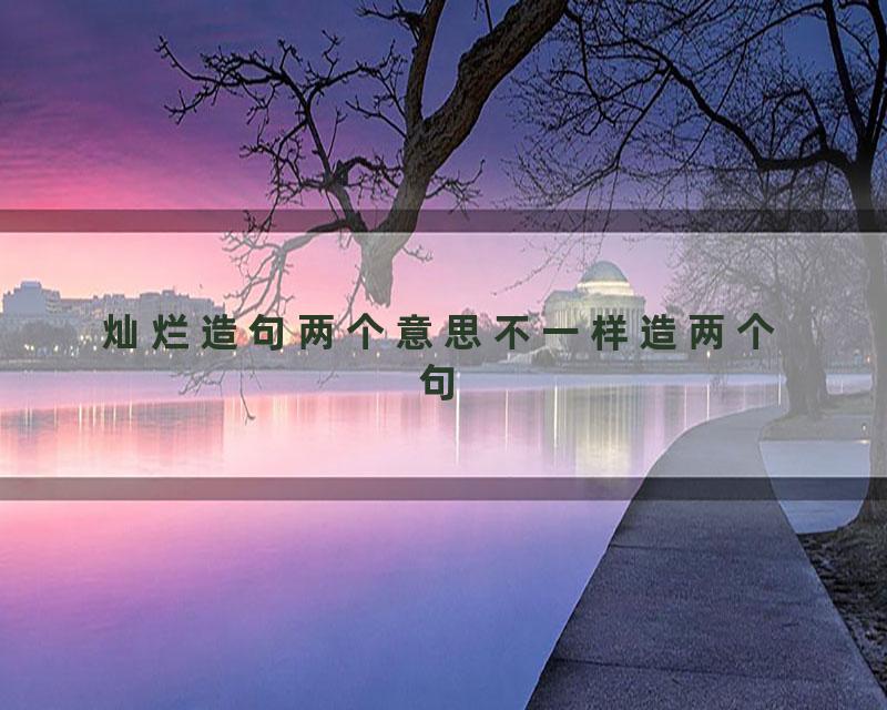 灿烂造句两个意思不一样造两个句