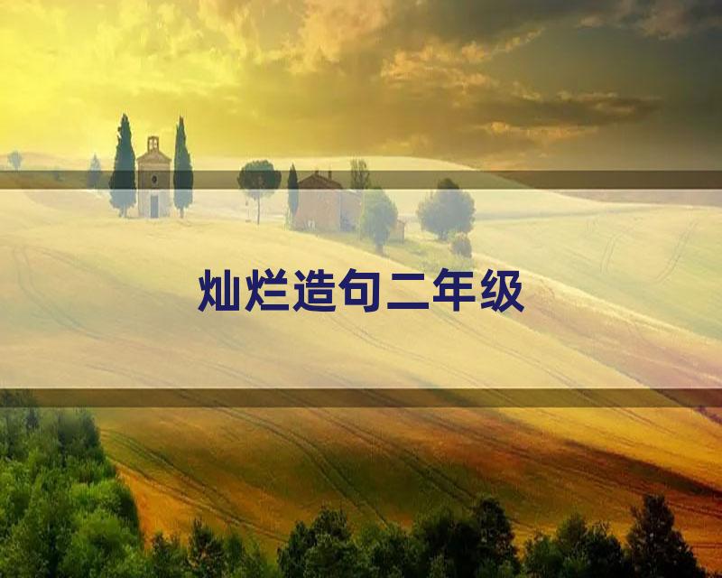 灿烂造句二年级