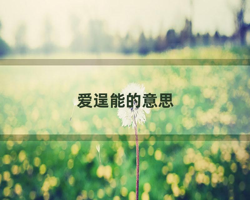 爱逞能的意思