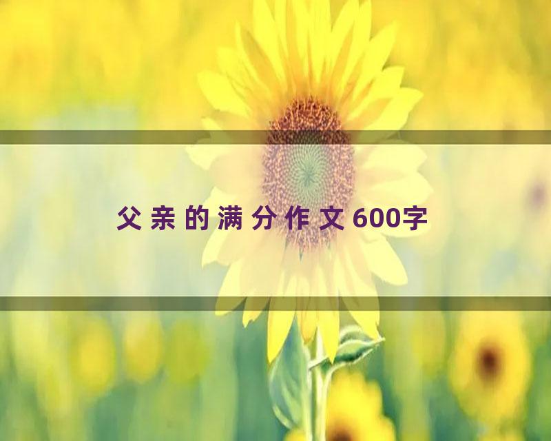 父亲的满分作文600字