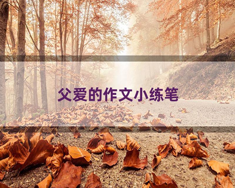 父爱的作文小练笔